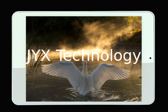 China 7,85&quot; RK3188 1.6GHz quad-core, Android 4,2, IPS, 1GB, 8GB, WiFi, cámara dual proveedor