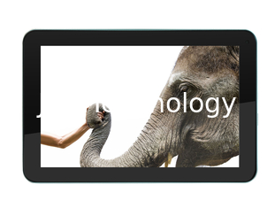 China 9&quot; A31S 1.2GHz quad-core, Android 4,2, 1GB, 4GB, WiFi, Dual Camera, HDMI proveedor