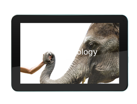 9&quot; A31S 1.2GHz quad-core, Android 4,2, 1GB, 4GB, WiFi, Dual Camera, HDMI proveedor